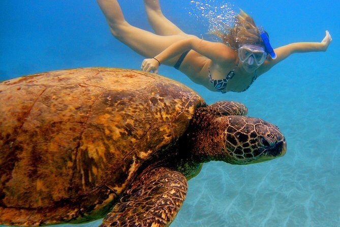 Afternoon Adventure Snorkel from Ka'anapali - An In-Depth Look at the Tour Experience