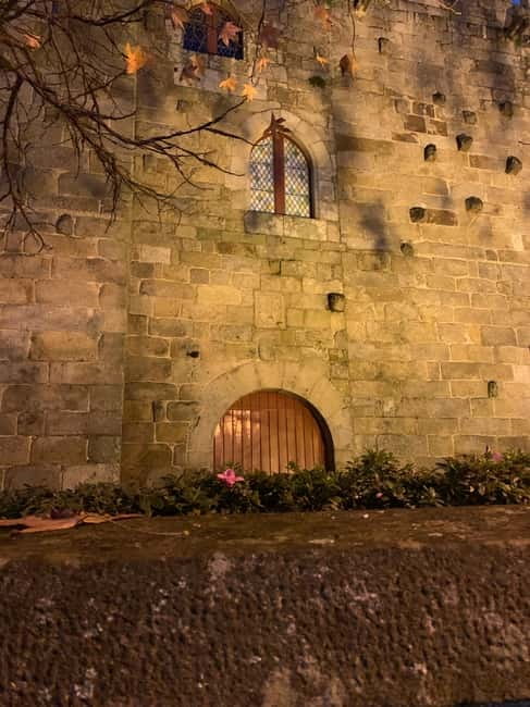 Afternoon and Night Tour in Braga - Authentic Experiences and Traveler Feedback