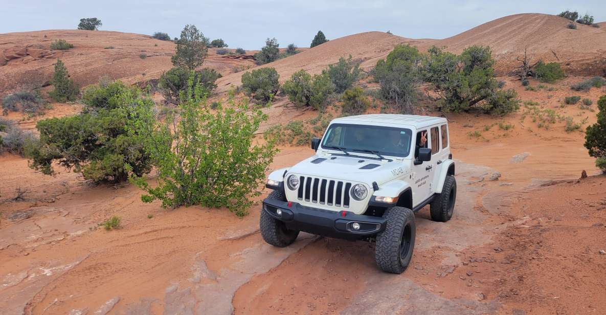 Afternoon Arches National Park 4x4 Tour - Highlights of the Tour