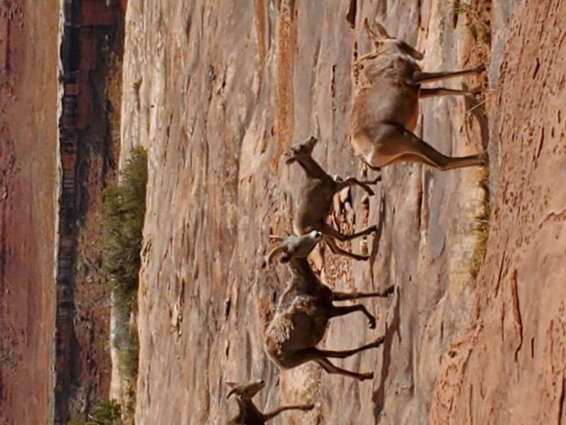 Afternoon Canyonlands Island In The Sky 4X4 Tour - What Makes This Tour Valuable