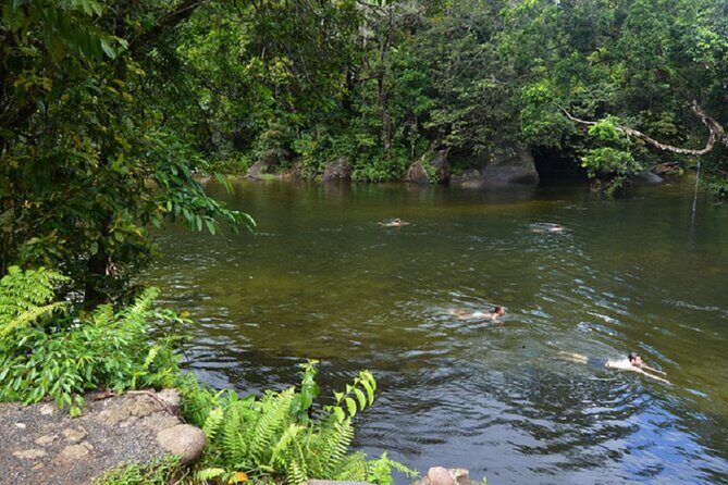 Afternoon & Evening Tour of Paronella Park - FAQs