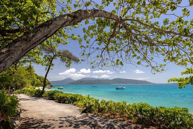Afternoon Fitzroy Island Escape  Return Ferry Included - Final Thoughts  