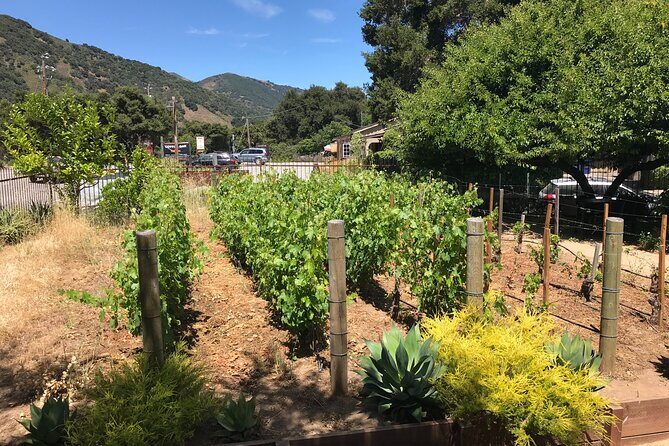Afternoon Half-day Carmel Valley Wine Tasting Tour - What’s Included and What’s Not