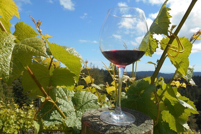 Afternoon Half-day Carmel Valley Wine Tasting Tour - FAQ