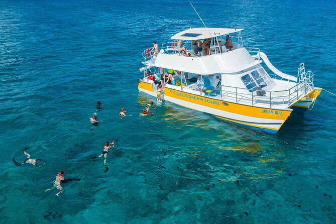 Afternoon Half Day Cruise from Providenciales with Snorkeling and Iguana Island - The Real Deal: Authentic Experiences and Practical Tips