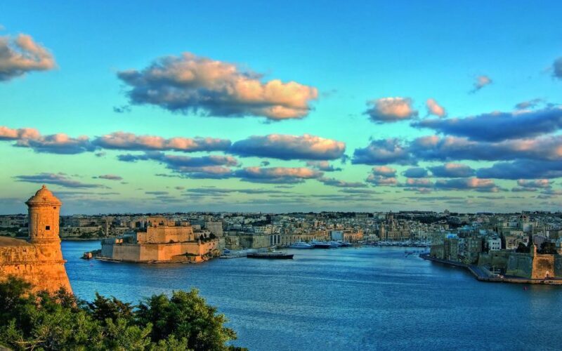 Afternoon Harbours Cruise with Guide and Roundtrip Transfers - A Closer Look at What You Can Expect