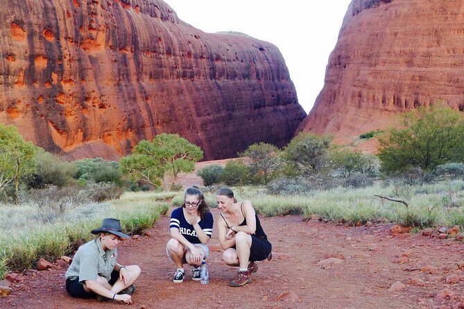 Afternoon Kata Tjuta Small Group Tour - Authentic Experiences and Honest Feedback