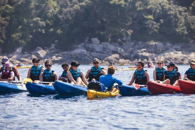 Afternoon Kayaking in Dubrovnik - Introduction