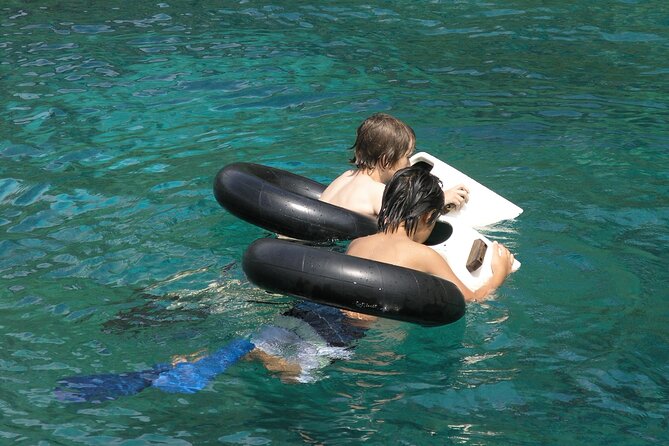 Afternoon Kealakekua Snorkel Tour - Reviews