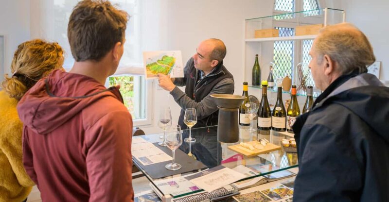 Afternoon - Loire Valley Wine Tour From Tours or Amboise - Itinerary
