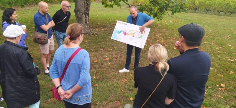 Afternoon - Loire Valley Wine Tour From Tours or Amboise - Highlights