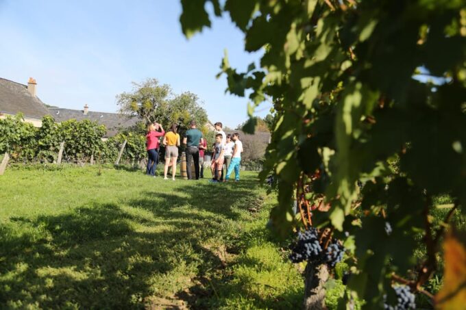 Afternoon - Loire Valley Wine Tour From Tours or Amboise - Frequently Asked Questions