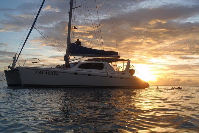 Afternoon Luxury Catamaran Sailing and Charter Cruise from Bridgetown - Key Points