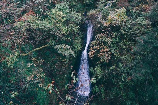 Afternoon Multnomah Falls and Gorge Waterfalls Tour - Customer Reviews
