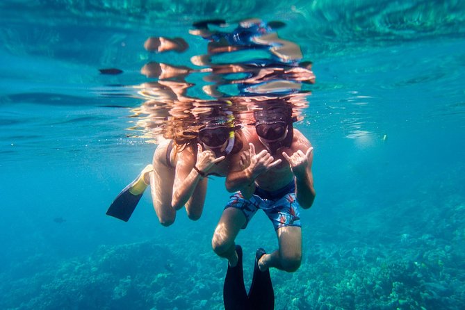 Afternoon Sail & Snorkel to the Captain Cook Monument - Lost-and-Found Story