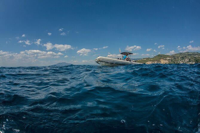 Afternoon snorkelling guided by a marine biologist in Sorrento - The Sum Up