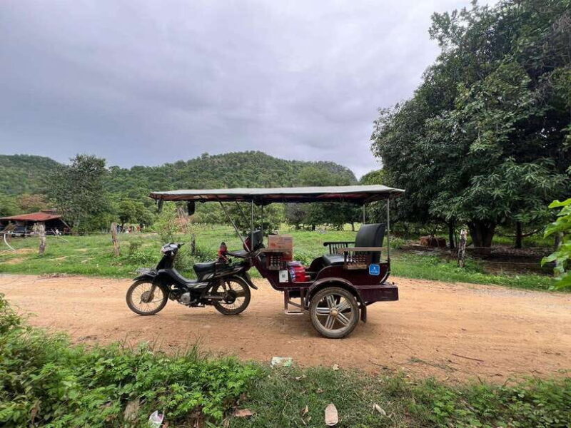Afternoon tour through Battambang, Local area and landmarks - Discovering Local Life and Flavors