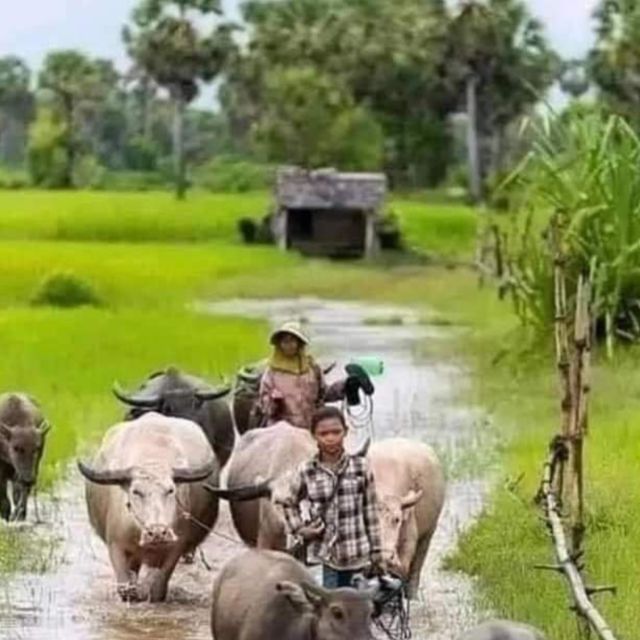 Afternoon tour through Battambang, Local area and landmarks - The Sunset and Final Views
