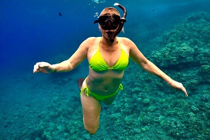 Afternoon Turtle Town Snorkel at Coral Gardens - The Sum Up