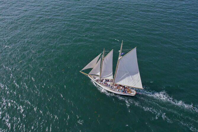 Afternoon Windjammer Cruise Along the Coast of Portland Maine - Group Size and Comfort