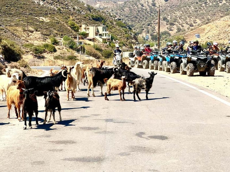 Ag. Pelagia: Nature Quad Tour & Village visit - Who Will Enjoy This Tour?