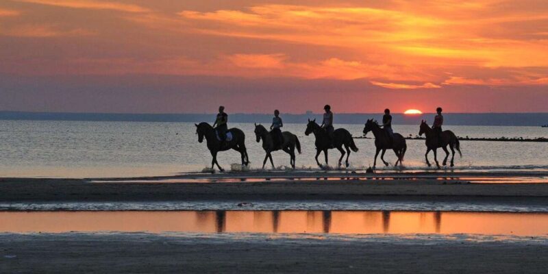 Agadir and Taghazout: 2-Hour Horseback And Relaxing Massage - Transportation and Inclusions