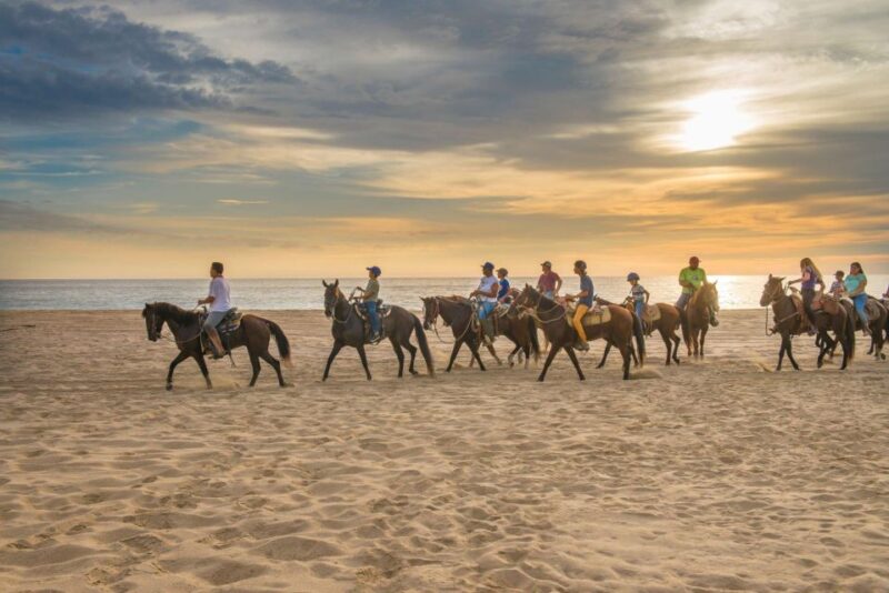 Agadir: Beach and Ranch Horse Riding Tour - Good To Know