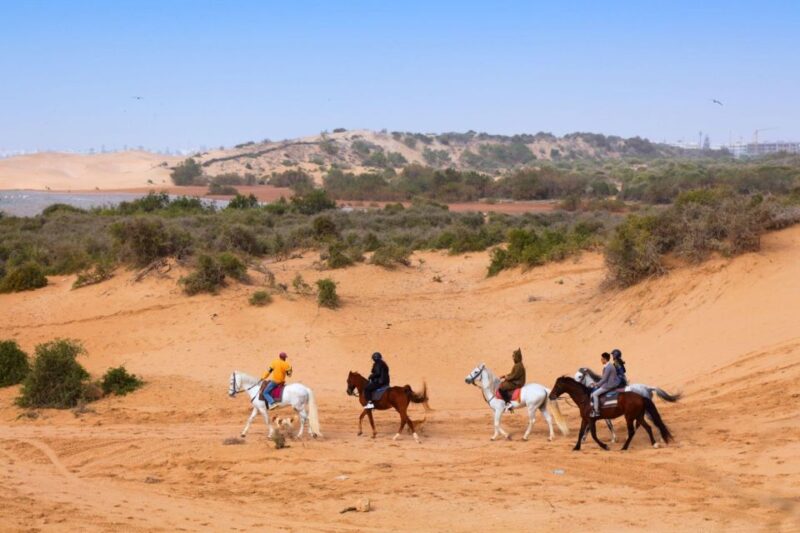 Agadir: Beach and Ranch Horse Riding Tour - Detailed Description