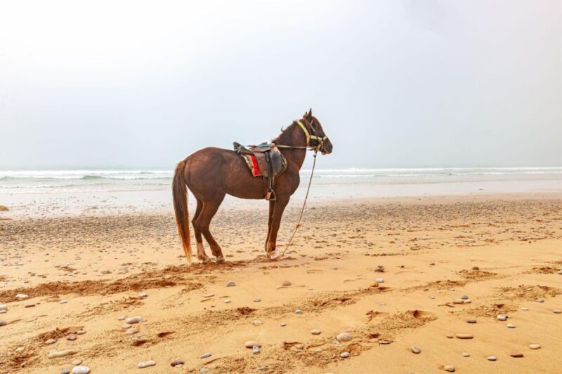 Agadir: Beach and Ranch Horse Riding Tour - Inclusions