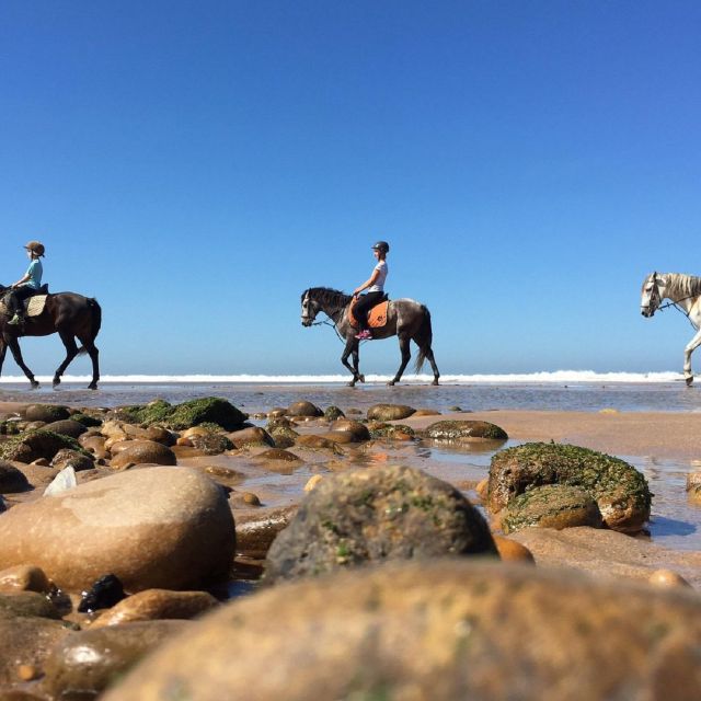 Agadir: Beach Sunset Horse Riding Tour With Transfer - Activity Highlights