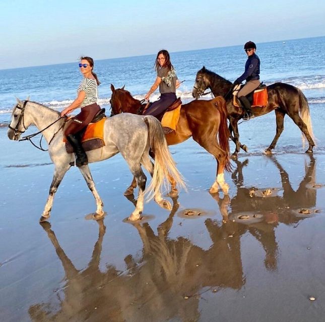 Agadir: Beach Sunset Horse Riding Tour With Transfer - Booking Information