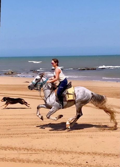 Agadir: Beach Sunset Horse Riding Tour With Transfer - Customer Feedback
