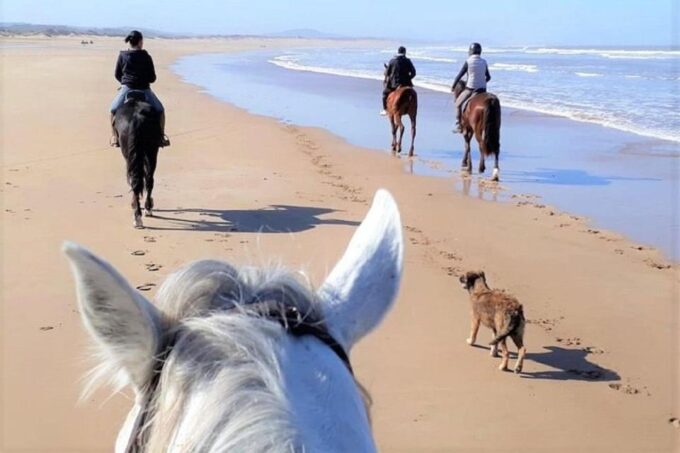 Agadir: Beach Sunset Horse Riding Tour With Transfer - Hotel Pickup and Transfer