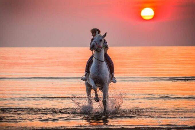 Agadir: Beach Sunset Horse Riding Tour With Transfer - Capturing Sunset Views on Horseback