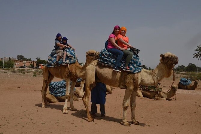 Agadir Camel Ride Experience - Inclusions and Amenities