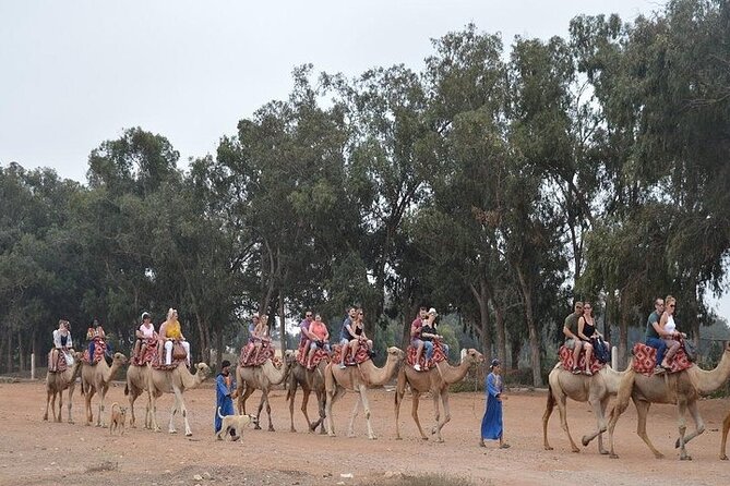 Agadir Camel Ride Experience - Refreshments and Hospitality