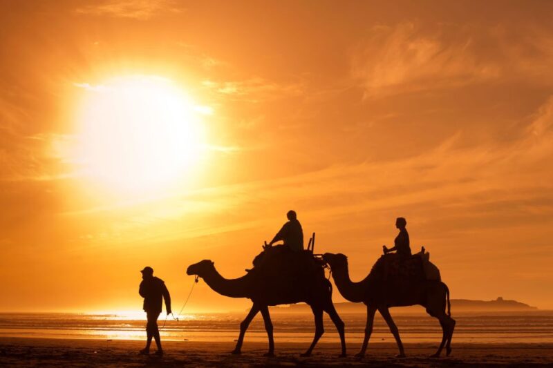 Agadir: Camel Ride With Tea & BBQ Dinner Option - Camel Ride Itinerary