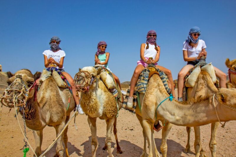 Agadir: Camel Ride With Tea & BBQ Dinner Option - Optional BBQ Dinner