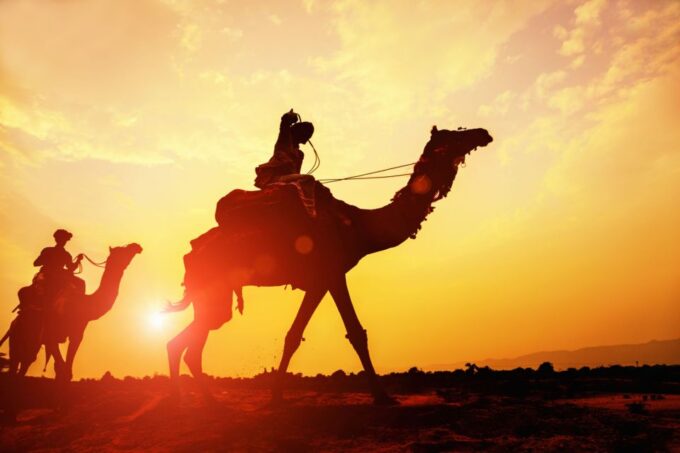 Agadir: Camel Ride With Tea & BBQ Dinner Option - Transportation and Pickup Details