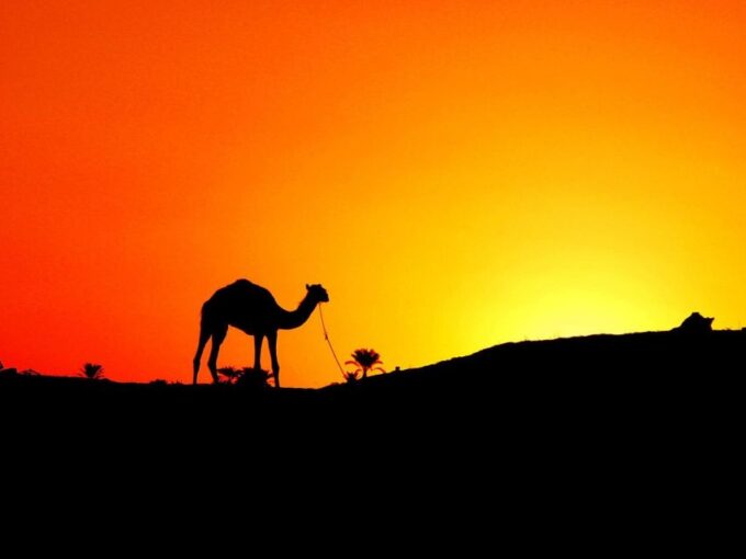 Agadir: Camel Ride With Tea & BBQ Dinner Option - Important Information to Note