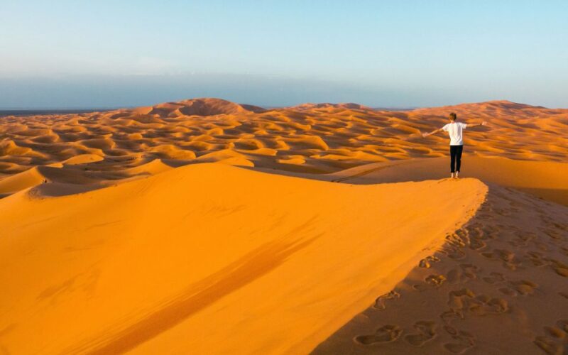 Agadir: Chegaga Wild Desert 3 Days Including Desert Camp - Day 3: Taznakht and Taroudant