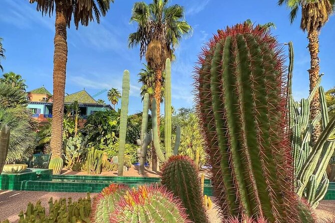 Agadir Crocoparc Tickets & Shuttle Service - Ticket Pricing Details