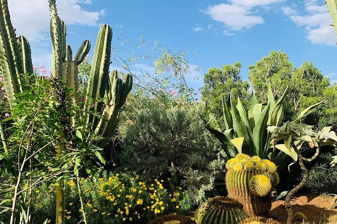 Agadir Crocoparc Tickets & Shuttle Service - Frequently Asked Questions
