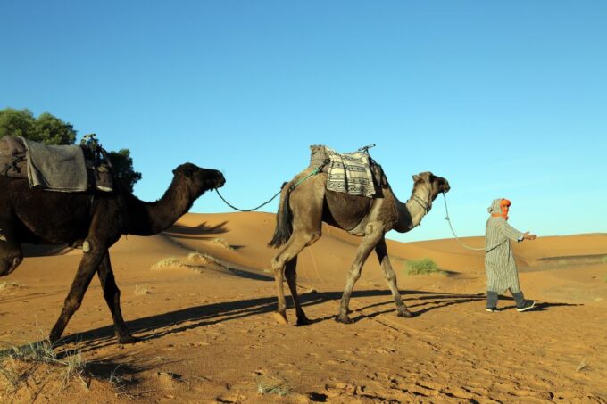 Agadir: Desert Safari Jeep Tour With Lunch & Hotel Transfers - Hotel Pickup and Drop-off