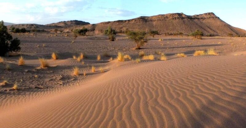 Agadir: Desert Safari Jeep Tour With Lunch & Hotel Transfers - Itinerary Highlights