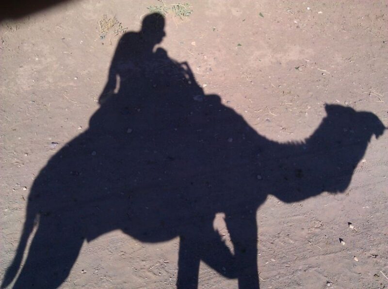 Agadir: Desert Safari Jeep Tour With Lunch & Hotel Transfers - Culinary Experience