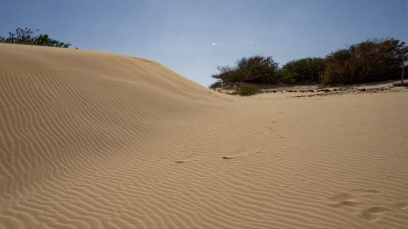 Agadir: Desert Safari Jeep Tour With Lunch & Hotel Transfers - Visiting the Fishermens Village and Caves