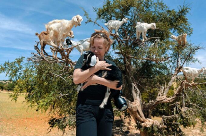 Agadir: Essaouira Guided Day Trip - Visiting the Argan Oil Cooperative