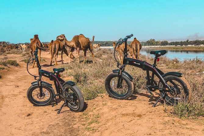 Agadir Experience Ebike Private Tour - Inclusions and Amenities
