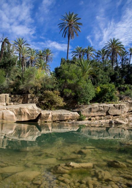 Agadir: Goat on Trees & Crocodile Park Including Hotelpickup - Hotel Pickup